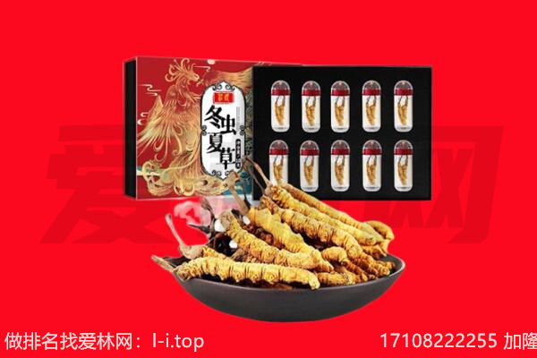 甘孜州新龙回收虫草.jpg